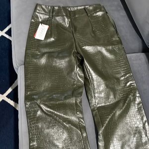 Brand new never worn green pants with a side zip